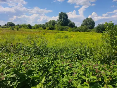 Продається земельна ділянка 10 соток у с. Рожни, лише 20 км від Києва! — мініатюра фото 4