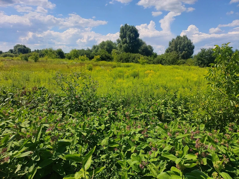 Продається земельна ділянка 10 соток у с. Рожни, лише 20 км від Києва! — фото 4 з 6