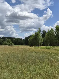 Продаж 1 Га (осг) Новозалісся — мініатюра фото 1