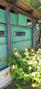 Продаж земельної ділянки — мініатюра фото 2