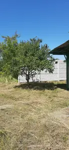 Продаж земельної ділянки — мініатюра фото 6