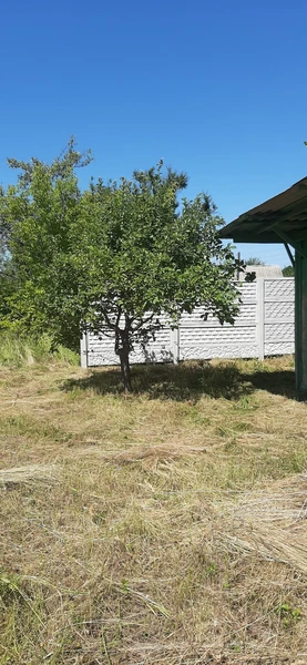 Продаж земельної ділянки — фото 6 з 7
