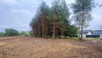 Продається ідеальна земельна ділянка для будівництва вашого омріяного будинку в затишній та мальовничій локації с. Паланки (поруч із Рудно) — мініатюра фото 1