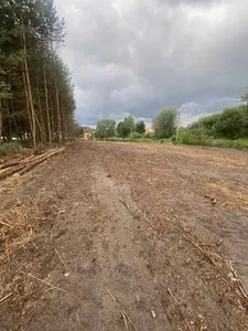 Продається ідеальна земельна ділянка для будівництва вашого омріяного будинку в затишній та мальовничій локації с. Паланки (поруч із Рудно) — мініатюра фото 5
