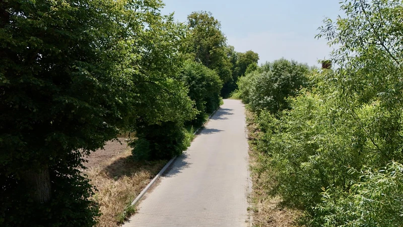 ділянка с.Кожичі під будівництво — фото 5 з 5