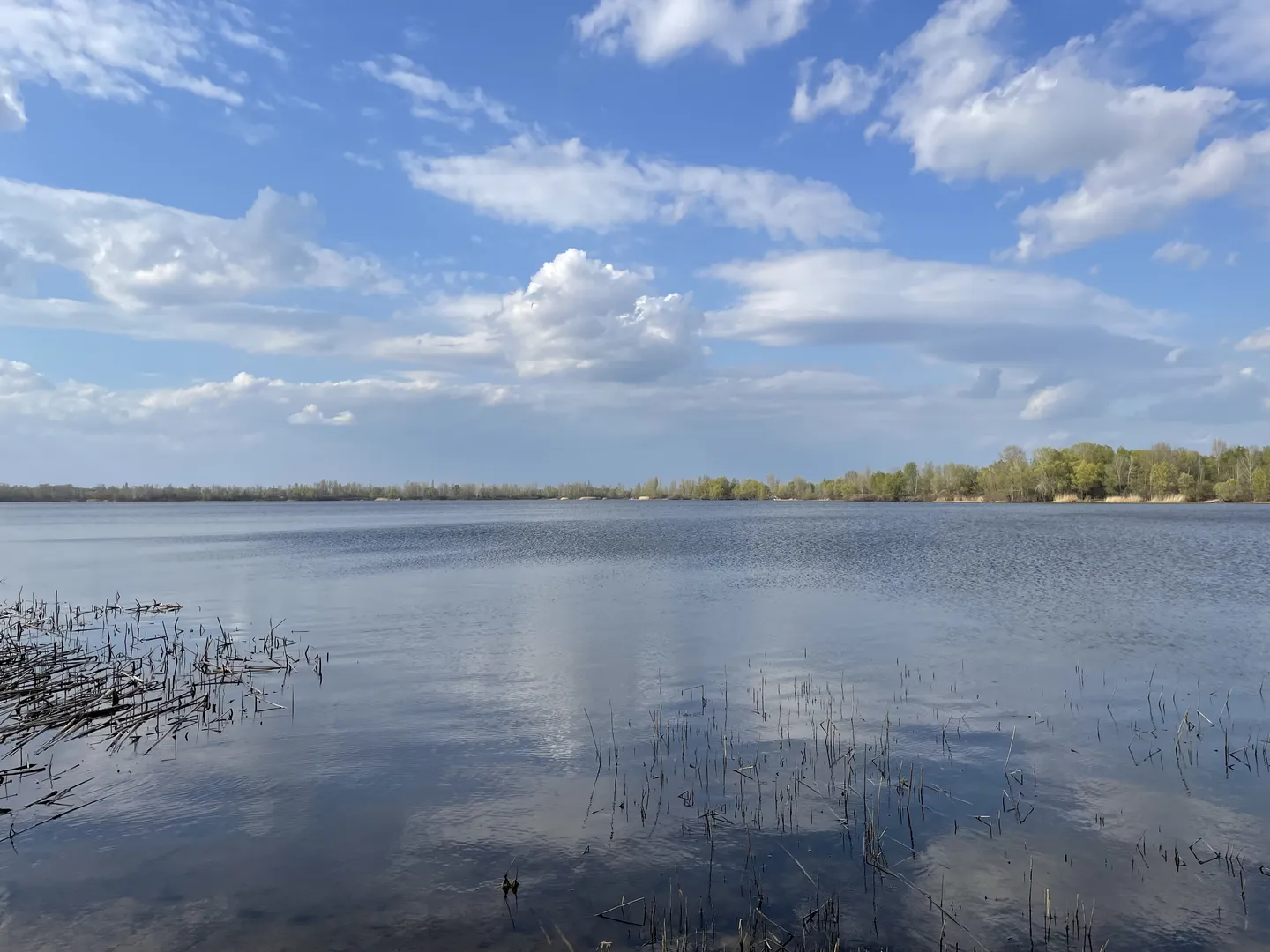 Ексклюзив: ділянки у Києві біля затоки Доманя (37–39 метрів від води). 100% юридична готовність! — фото 1 з 4