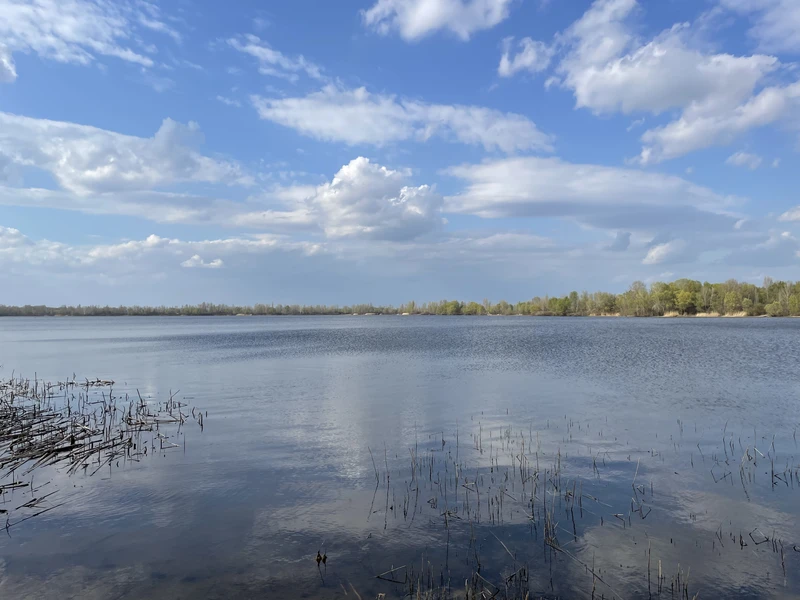 Ексклюзив: ділянки у Києві біля затоки Доманя (39 метрів від води). 100% юридична готовність!
