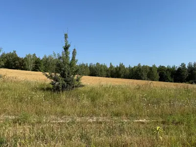 Продаж зділянки 51 сотка, БЕЗ % — мініатюра фото 1