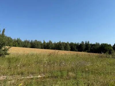 Продаж зділянки 51 сотка, БЕЗ % — мініатюра фото 2
