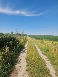 Земельна ділянка 4,3 га для садівництва Ясногородка — мініатюра фото 1