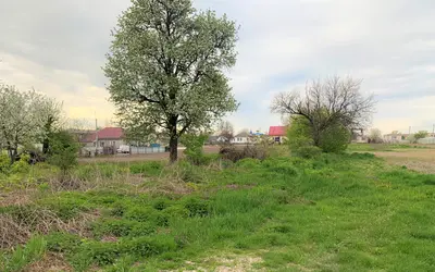 Продаж земельної ділянки під житлову забудову с. Красилівка — мініатюра фото 2