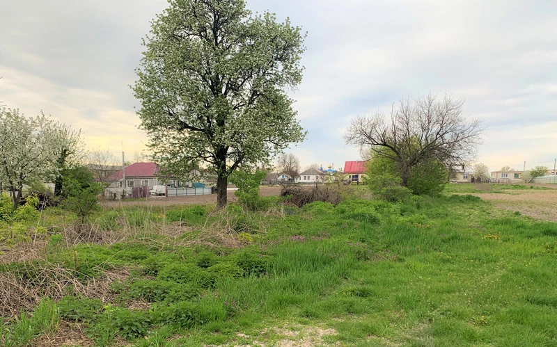 Продаж земельної ділянки під житлову забудову с. Красилівка — фото 2 з 8