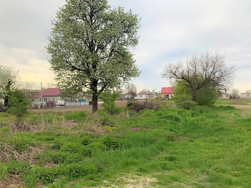 Продаж земельної ділянки під житлову забудову с. Красилівка — фото 2 з 8