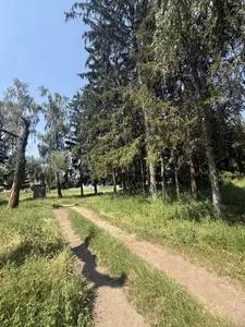 Продається земельна ділянка 87 соток у селі Тростянець, Тиврівський район — мініатюра фото 10