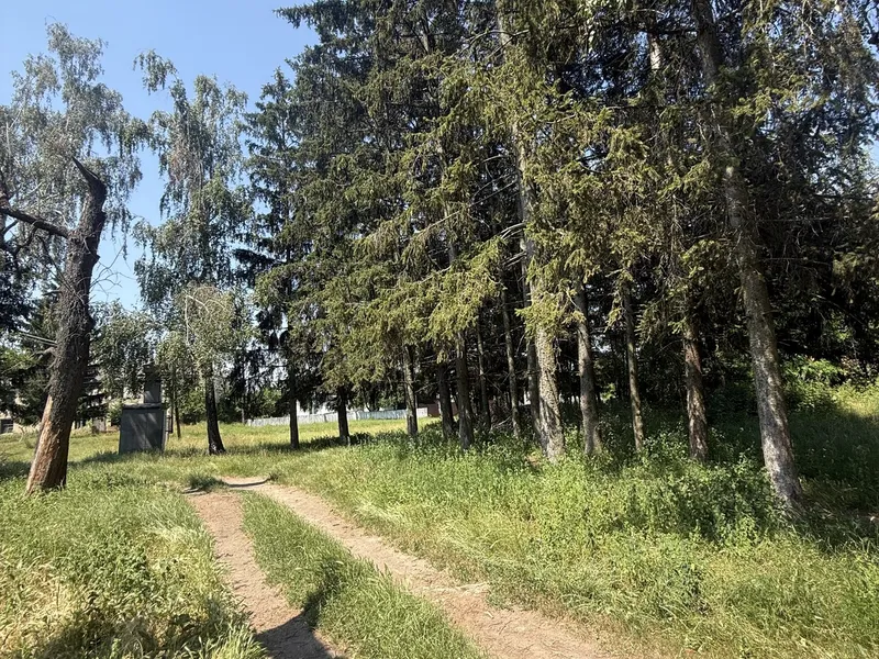 Продається земельна ділянка 87 соток у селі Тростянець, Тиврівський район — фото 10 з 16