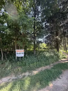 Продається земельна ділянка 87 соток у селі Тростянець, Тиврівський район — мініатюра фото 12