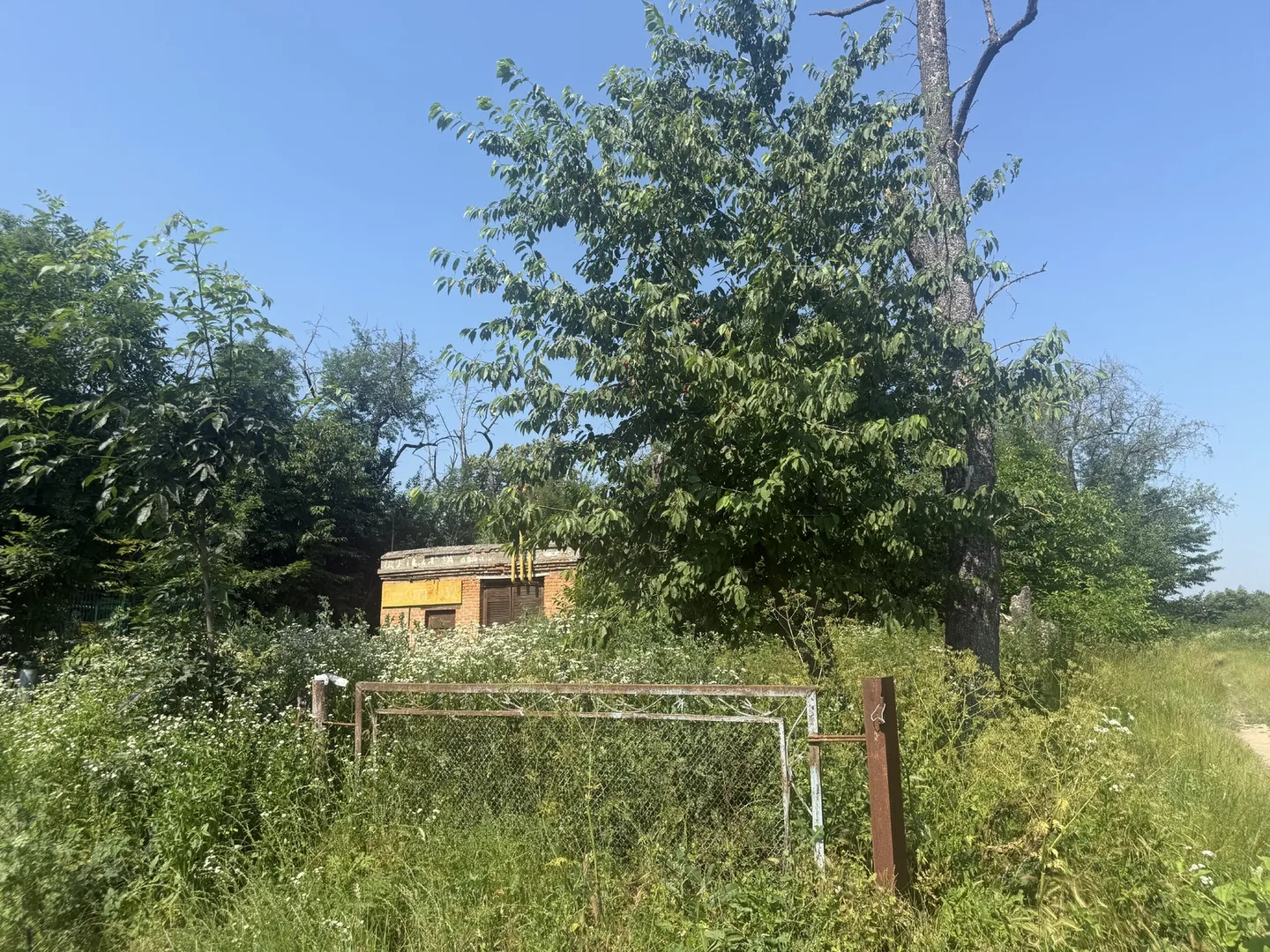 Продається земельна ділянка 87 соток у селі Тростянець, Тиврівський район — фото 14 з 16