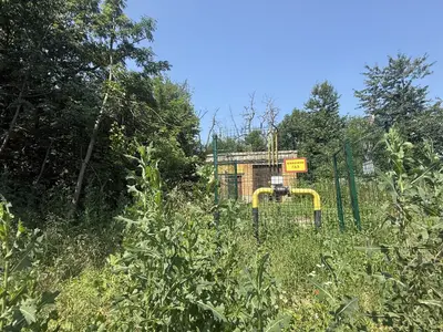 Продається земельна ділянка 87 соток у селі Тростянець, Тиврівський район — мініатюра фото 15