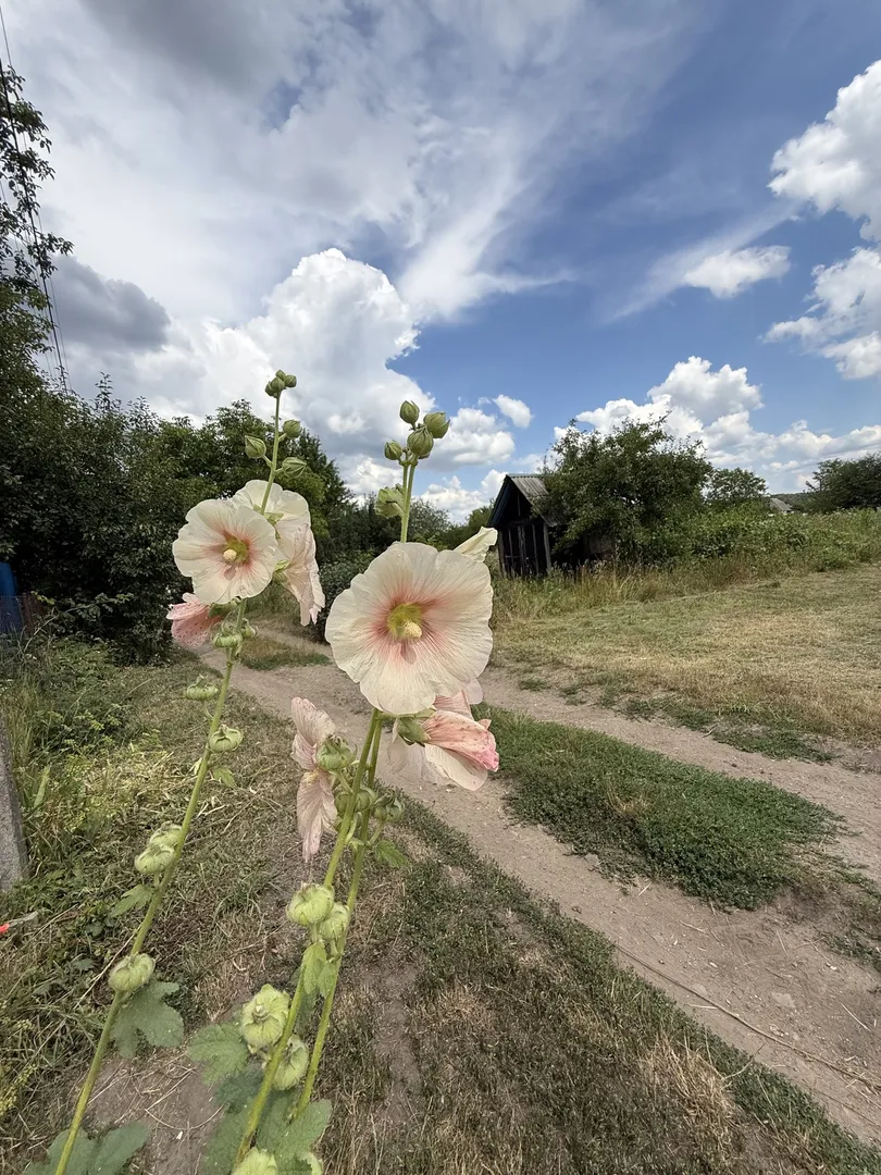 Продається земельна ділянка у Приборівці — фото 10 з 12
