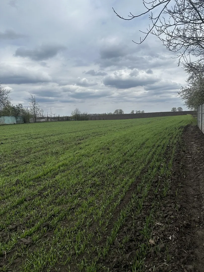 Продаж земельної ділянки під житлову забудову — фото 2 з 5