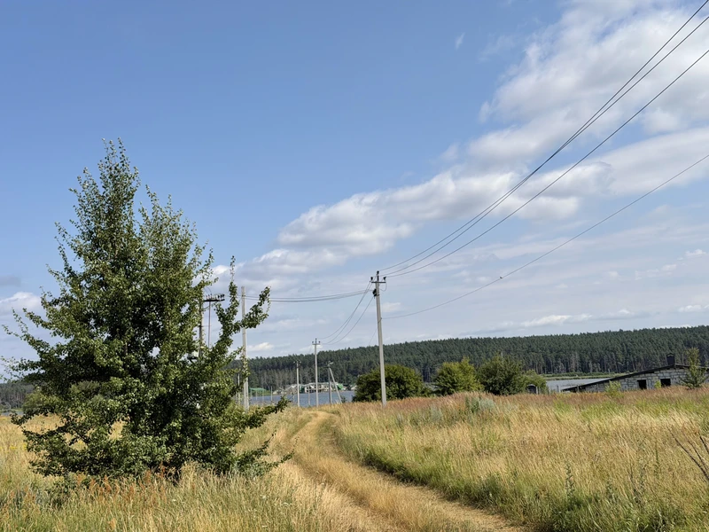 Земельна ділянка в Демидів  — фото 1 з 5
