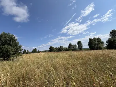 Земельна ділянка в Демидів  — мініатюра фото 4