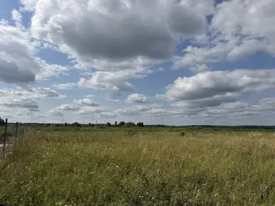 Земельна ділянка в Димер — мініатюра фото 4