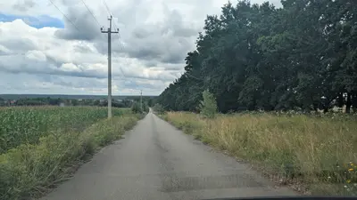 траса Гостомель - Раківка. Терміновий продаж землі 200 соток — мініатюра фото 5