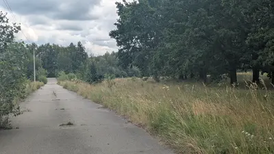 траса Гостомель - Раківка. Терміновий продаж землі 200 соток — мініатюра фото 6