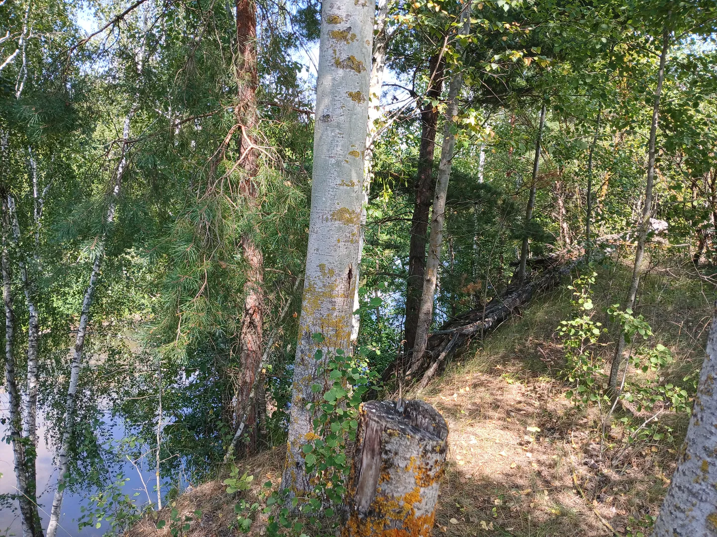 Продаж мечти — фото 1 з 9