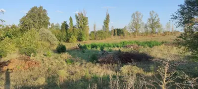 Продаж земельної ділянки 1,29 га, цільове під дорожню інфраструктуру (АЗС+електро ЗС) — мініатюра фото 1