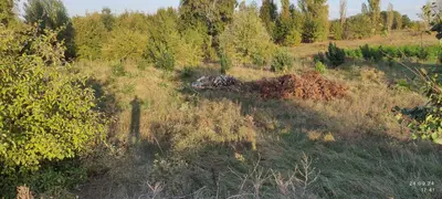Продаж земельної ділянки 1,29 га, цільове під дорожню інфраструктуру (АЗС+електро ЗС) — мініатюра фото 2