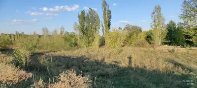 Продаж земельної ділянки 1,29 га, цільове під дорожню інфраструктуру (АЗС+електро ЗС) — мініатюра фото 6