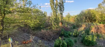 Продаж земельної ділянки 1,29 га, цільове під дорожню інфраструктуру (АЗС+електро ЗС) — мініатюра фото 8