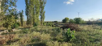 Продаж земельної ділянки 1,29 га, цільове під дорожню інфраструктуру (АЗС+електро ЗС) — мініатюра фото 12