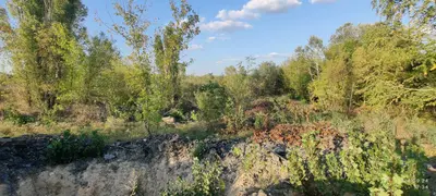 Продаж земельної ділянки 1,29 га, цільове під дорожню інфраструктуру (АЗС+електро ЗС) — мініатюра фото 13