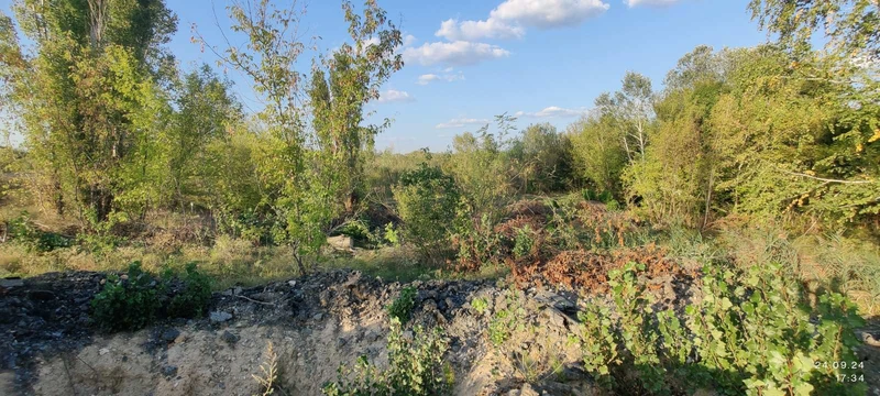 Продаж земельної ділянки 1,29 га, цільове під дорожню інфраструктуру (АЗС+електро ЗС) — фото 13 з 19