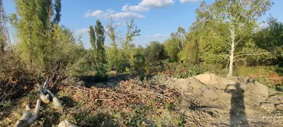 Продаж земельної ділянки 1,29 га, цільове під дорожню інфраструктуру (АЗС+електро ЗС) — мініатюра фото 15
