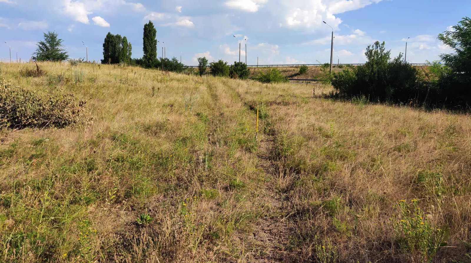 Продаж земельної ділянки 1,29 га, цільове під дорожню інфраструктуру (АЗС+електро ЗС) — фото 17 з 19