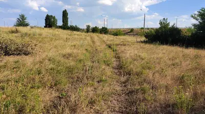 Продаж земельної ділянки 1,29 га, цільове під дорожню інфраструктуру (АЗС+електро ЗС) — мініатюра фото 17
