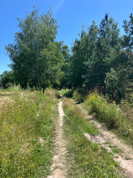 Продаж 25 соток поруч з Ворсклою — фото 1 з 5