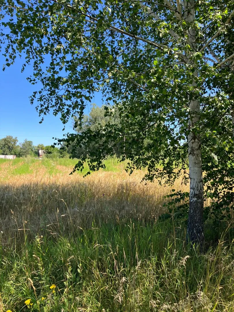 Продаж 25 соток поруч з Ворсклою — фото 2 з 5