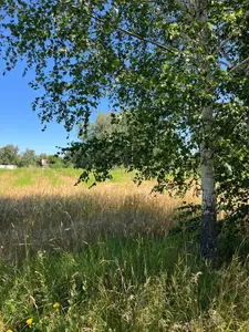 Продаж 25 соток поруч з Ворсклою — мініатюра фото 2