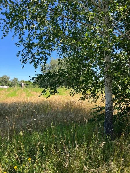 Продаж 25 соток поруч з Ворсклою — фото 2 з 5