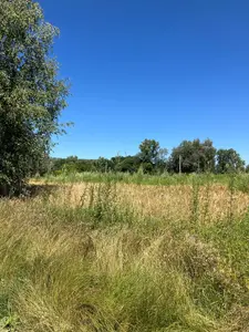 Продаж 25 соток поруч з Ворсклою — мініатюра фото 5