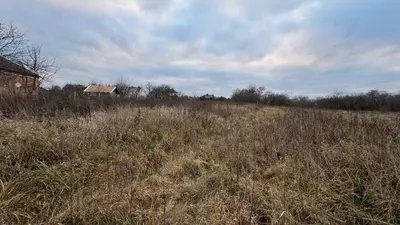 Продам земельну ділянку 11 сотих у селі Щітки — мініатюра фото 3