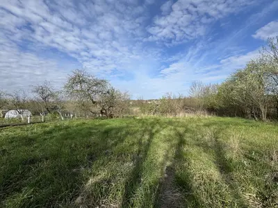 Терміново!!! Продаж земельної ділянки під житлову забудову у Дашківцях — мініатюра фото 6