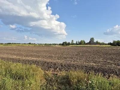 Продаж земельної ділянки в Гавришівці — мініатюра фото 1
