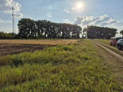 Продаж земельної ділянки в Гавришівці — мініатюра фото 5