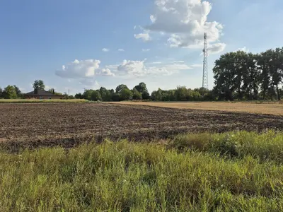 Продаж земельної ділянки в Гавришівці — мініатюра фото 6